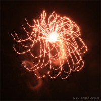 /album/light-painting/frida-dumont-canon-70d-mai-2016-img-1196-jpg/